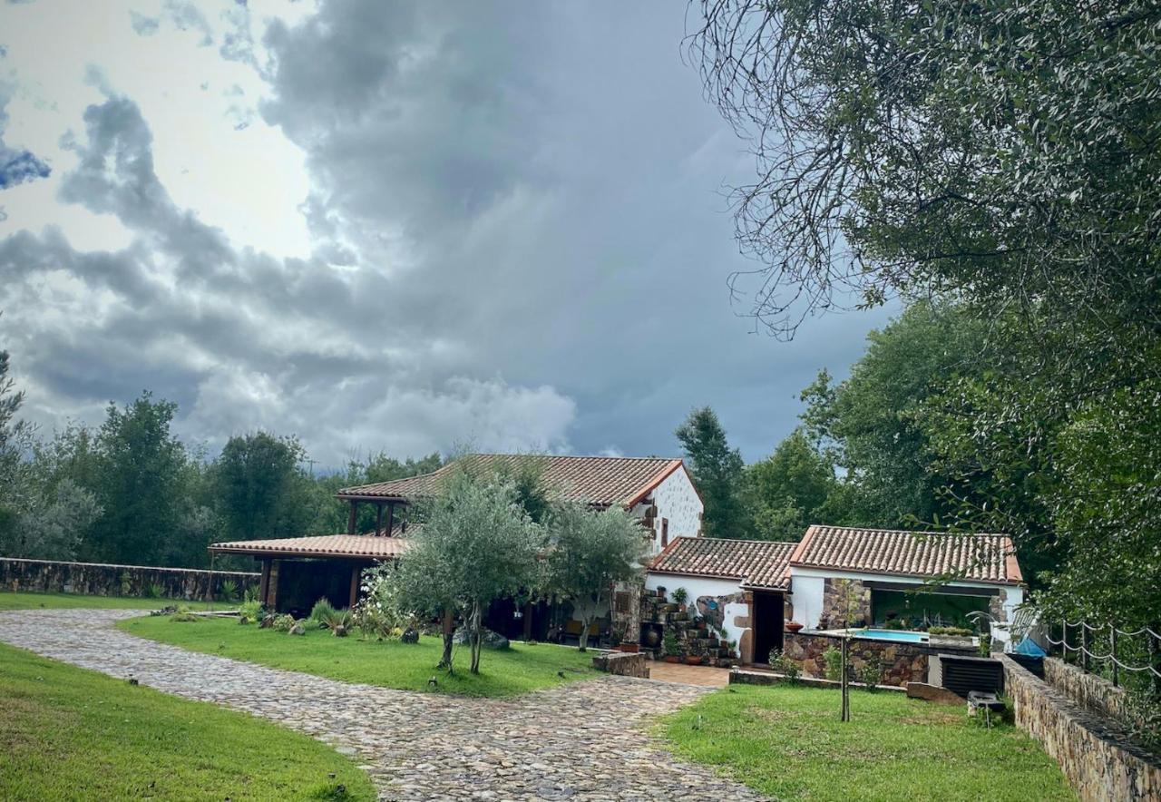 Apartamento The Old Watermill Retreat - O Retiro Da Azenha Velha Vila Nova de Poiares Exterior foto